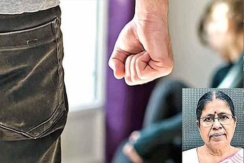 Domestic Violence Act is civil in nature and not criminal