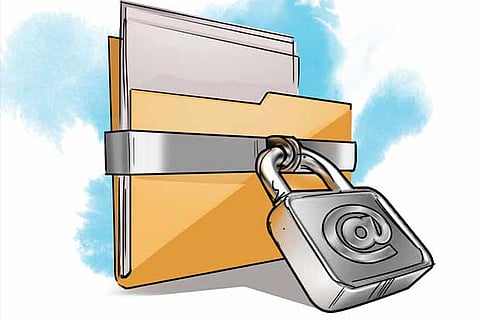 Digital privacy firms help cover tracks online