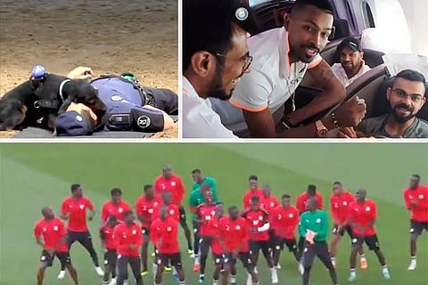 Trending in TN: Police dog performs CPR, Hardik Pandya interviews Virat Kohli and Senegal’s warm-up routine