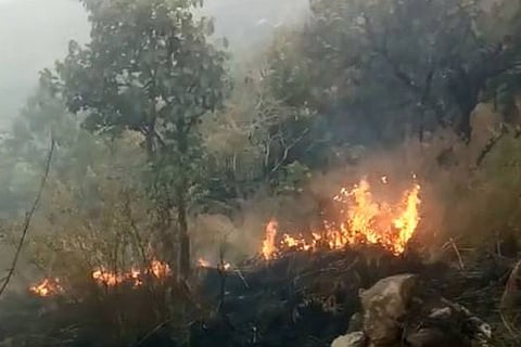 File photo of the forest fire