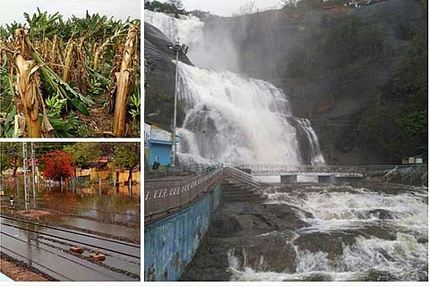 Banana farms destroyed in Tirunelveli. Railway tracks submerged in Thoothukudi and water flow in Courtallam