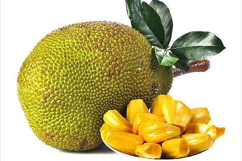 Jackfruit