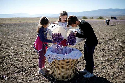 Representative image