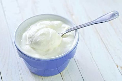 Probiotics can help increase bone density: Study