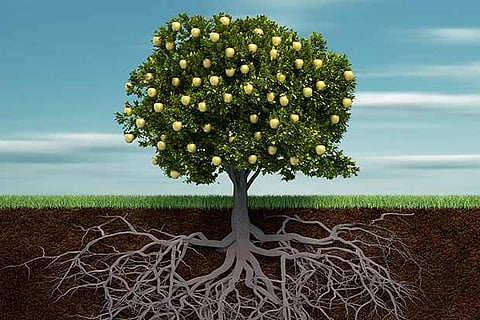 Representative image