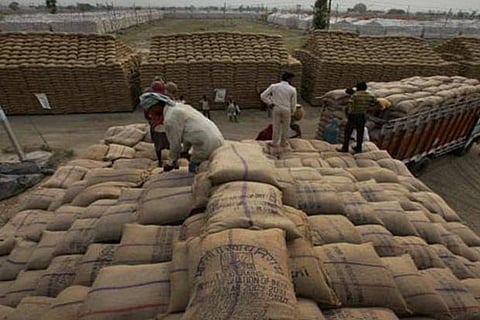 Paddy arriving at a Direct Purchase Centre