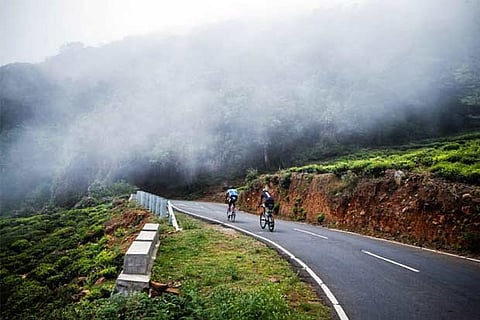 Representative image