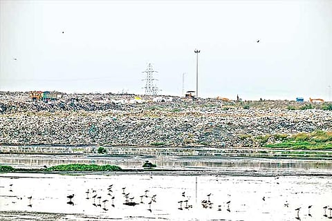 File photo of Pallikaranai