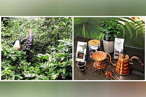 Coffee plantation in Araku (L); products from the brand (R)