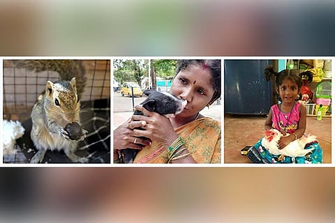 A rescued squirrel, Leela and Shanjana