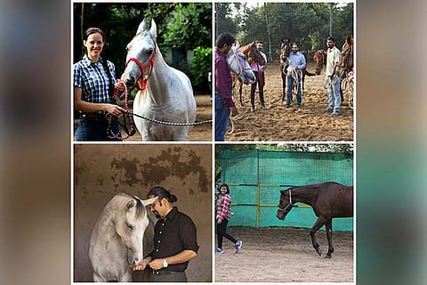 Isabelle Hasleder; Participants with their horses  during training sessions