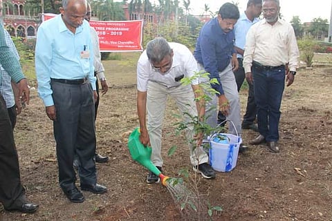 TNAU Vice-Chancellor K Ramasamy waters a newly-planted sapling on the university campus