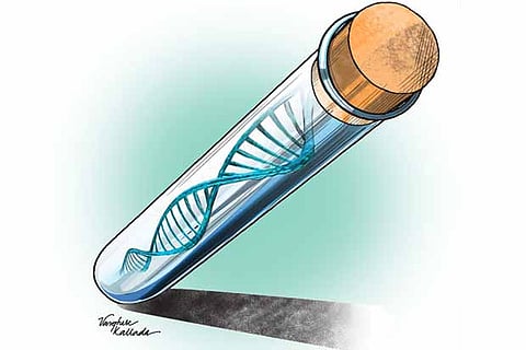 Illustration by Varghese Kallada