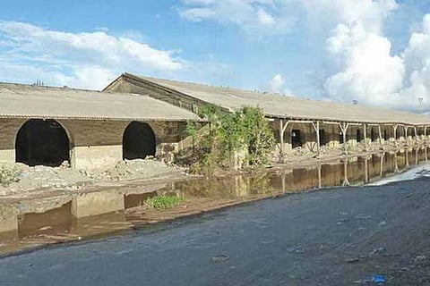 Salt Cotaurs has a vibrant commercial history