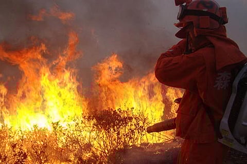 30 dead in major China forest fire