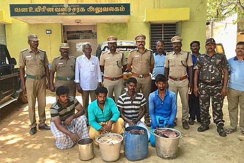 The four persons held in possession of sea turtle meat near Mandapam on Wednesday