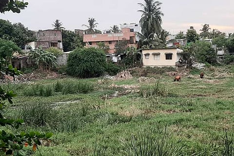 A major portion of the lake has been encroached upon