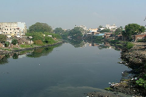 River Cooum