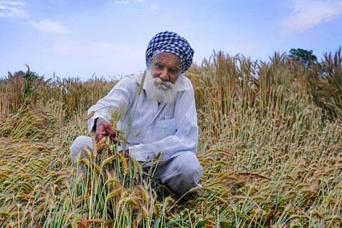 India should use Israeli model of drip irrigation system, suggests Indian expert