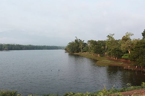 Masinagudi: An ultimate destination for wildlife enthusiasts