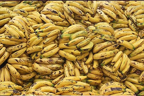 'Ban' on bananas lifted in Lucknow station