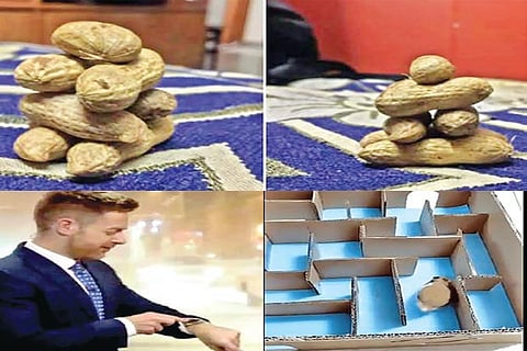 Trending in TN: Virtual assistant-Siri contradicting weather forecaster, Shenga has now become the new desi Jenga game and more