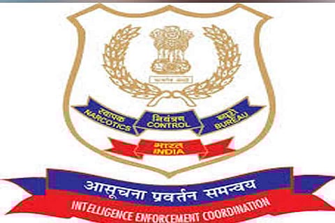 Narcotic Intelligence Bureau
