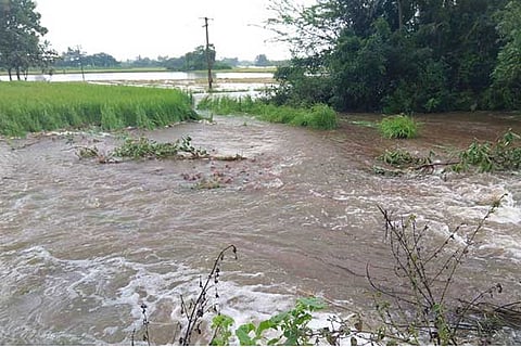 Paddy fields inundated by the flow from a breached Meesanallur irrigation tank near Vandavasi