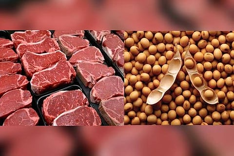 China announces tariff rollback for US soy, pork