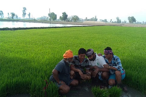 Image courtesy Twitter