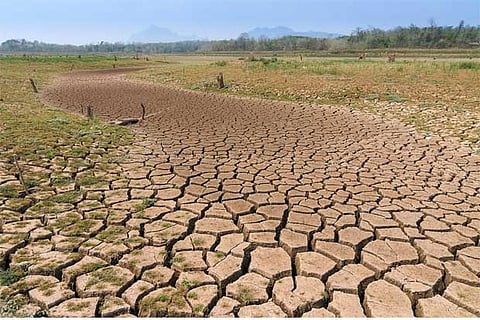 Image courtesy eria.org