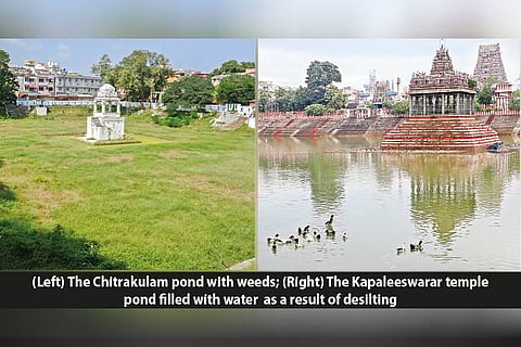 Chitrakulam and Kapaleeswarar temple pond is a study in contrast
