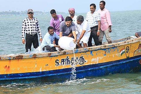 The sea ranching activity being carried out at Thonithurai village off Mandapam coast in Ramanathapuram