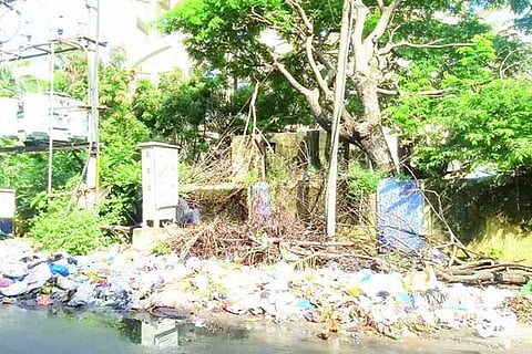 Locals complain that stray dogs and cattle eat plastic from piled garbage and scatter them around