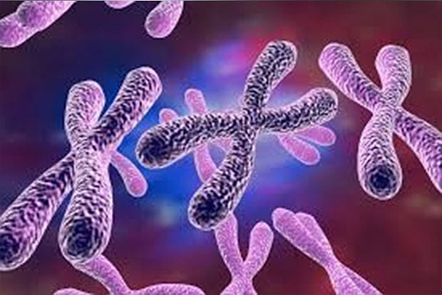 Where do autoimmune diseases come from?