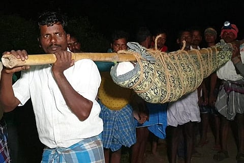 Nekkanamalai tribals trek 7 km with body ﻿in dholi due to absence of road