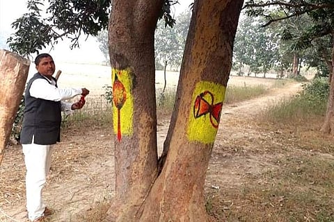 UP man invokes the Gods to save trees