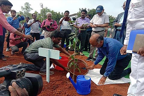 The SR GM planting a sapling at Ariyalur railway station on Friday
