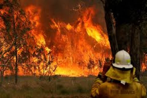 Australia orders forest fire evacuation