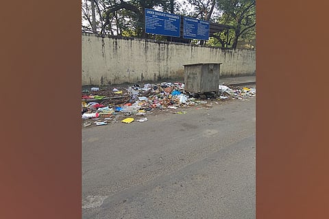 The piling garbage has also increased the mosquito menace in the area