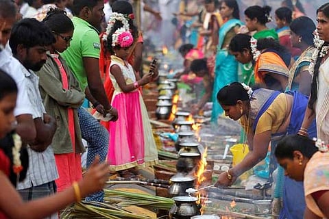 Pongal celebration (File photo)