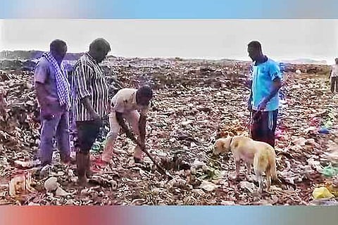 Representative image