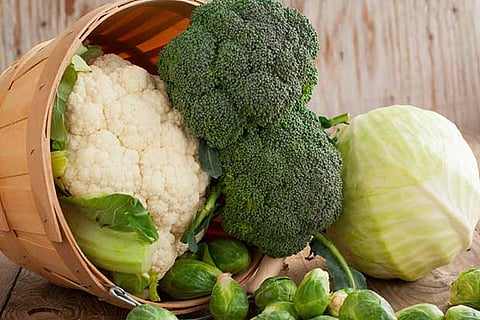 From constipation to cancer, cure could lie in humble cabbage