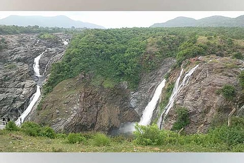 Plan your weekend: A hilly terrain known for its diverse species