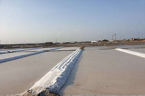 A salt pan at Tharuvaikulam in Thoothukudi