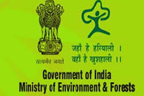 Budget 2019-20: Pollution control in focus, Env Ministry gets Rs 2,954 crore