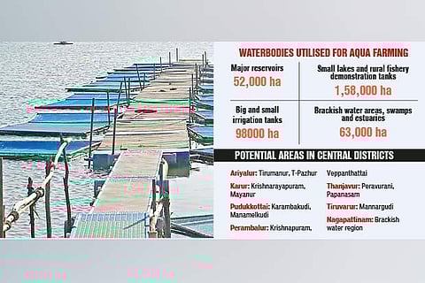 Inland aquafarmers in coastal belt hit as heatwave kills fish species