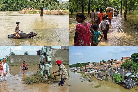 Death toll rises to 97 in Assam, Bihar floods