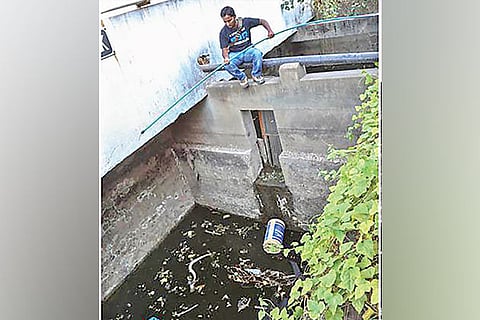 A snake being rescued from the well (inset) closeup of a snake