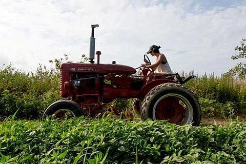 In New York, a diverse, new group works the soil
